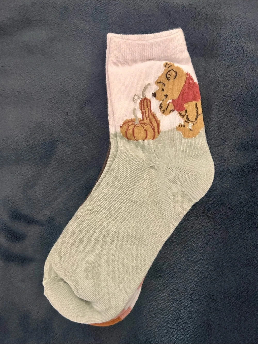 Disney embroidered adult